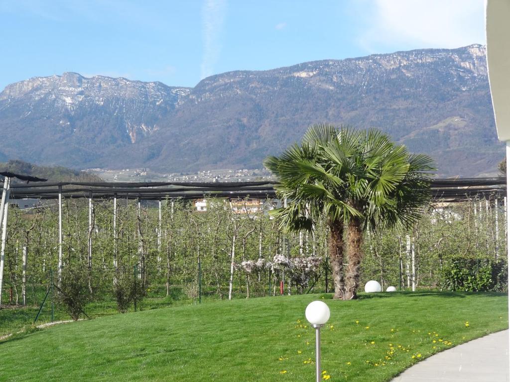 Apartments Klotz Bolzano Exterior foto